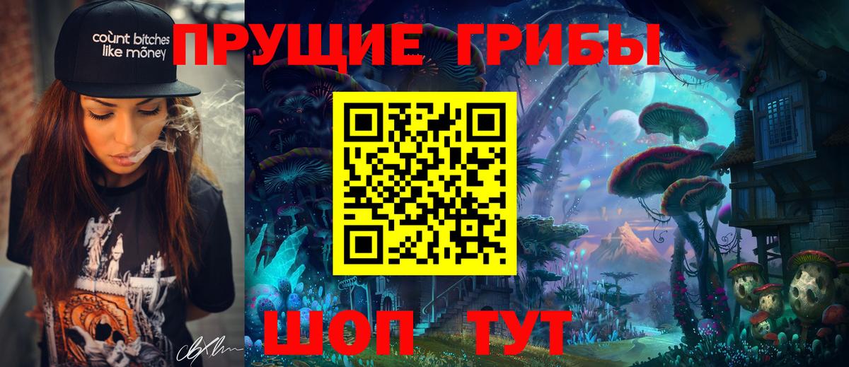 Вольск  Псилоцибиновые грибы прущие грибы  Вход с VPN 